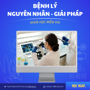 Khoá Học Tìm Hiểu Về Bệnh Lý Hay Gặp