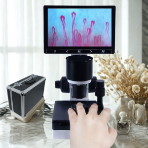 Kính Hiển Vi Soi Vi Tuần Hoàn Mạch Máu