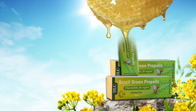 f6589-thanh-phan-keo-ong-xanh-brazil-dlcvietnam