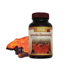 Nấm Ngưu Chương Chi - Quốc Bảo Đài Loan