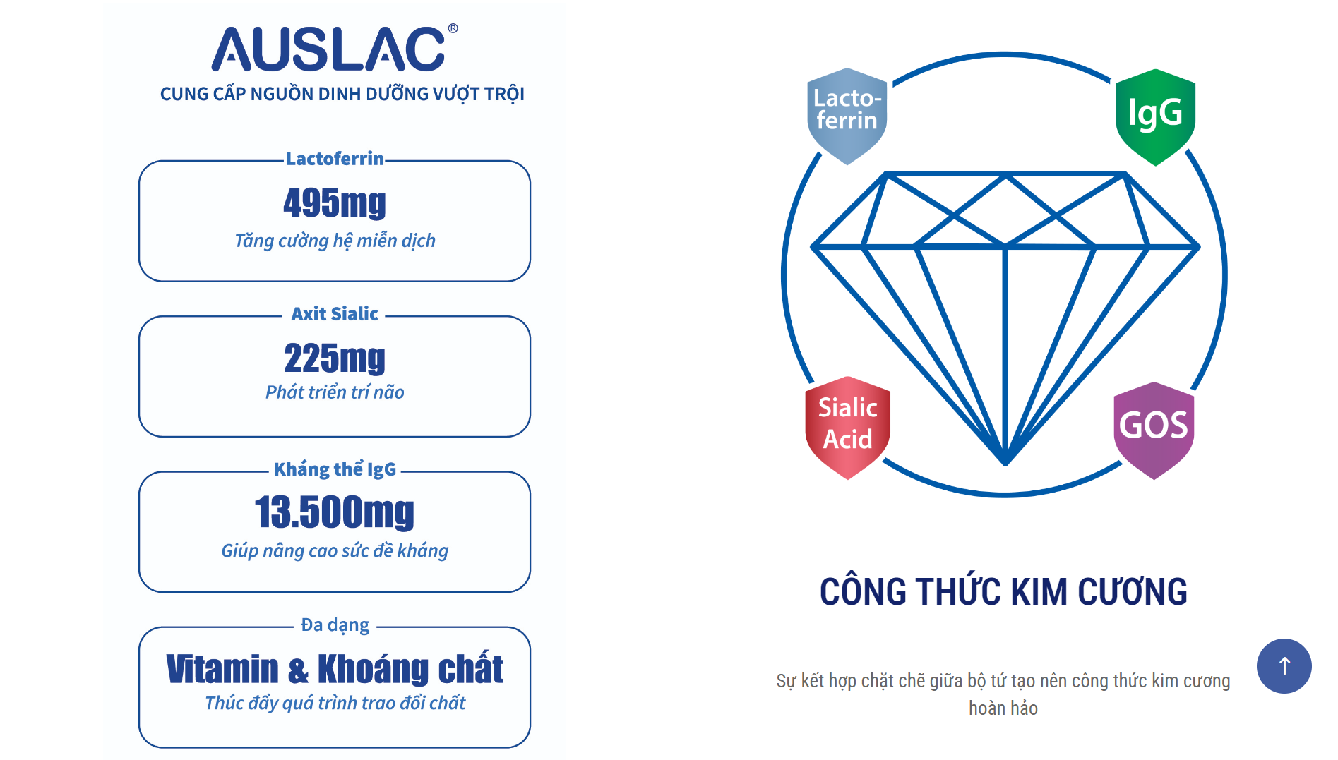 sua-mon-mien-dich-Auslac-1