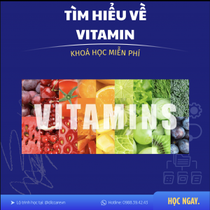 Khóa học Vitamin dễ hiểu cho người quan tâm sức khỏe