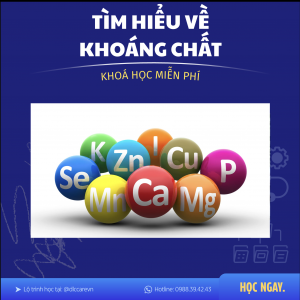 Khóa học Khoáng chất dễ hiểu
