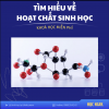 Khóa học Hoạt chất sinh học dễ hiểu – Hiểu đúng để chăm sóc sức khỏe từ gốc